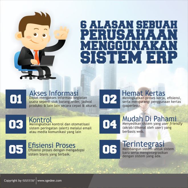 software ERP (Enterprise Resource Planning)