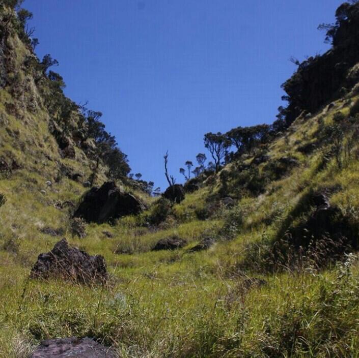 Perapihan jalur dan pemasangan plang pos sumbing via banaran, tembarak. Temanggung