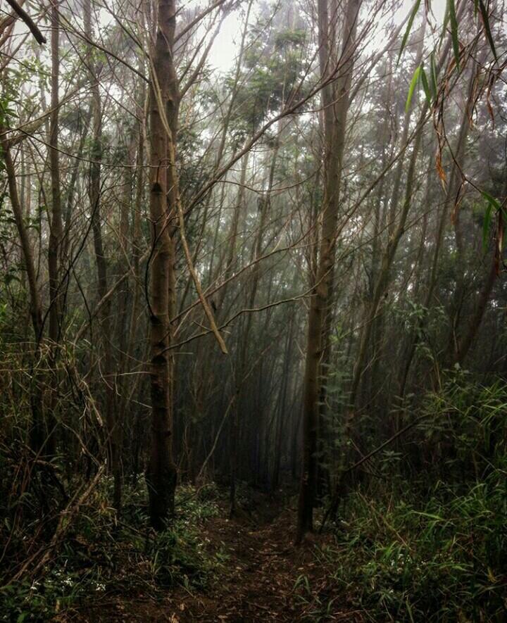 Perapihan jalur dan pemasangan plang pos sumbing via banaran, tembarak. Temanggung