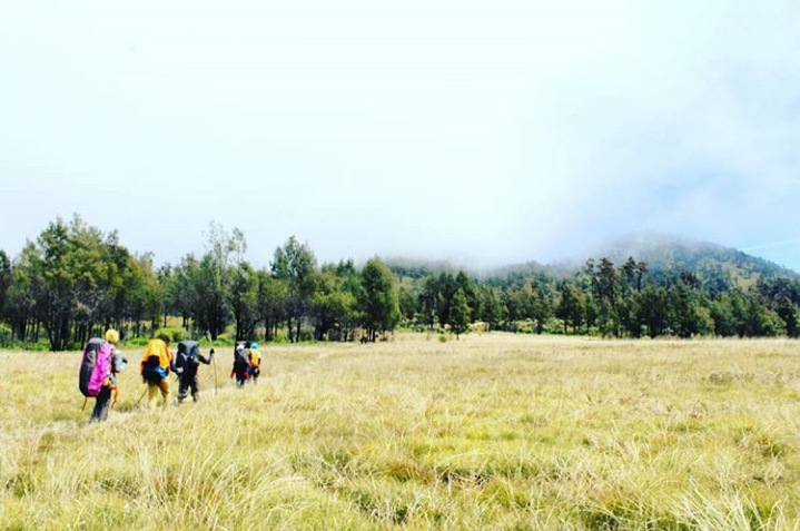 bertemu dewi rengganis di gunung argopuro (real story)