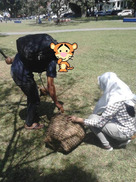 Mesra-mesraan di Alun-alun Malang, Sejoli ini dihukum Menyapu Taman