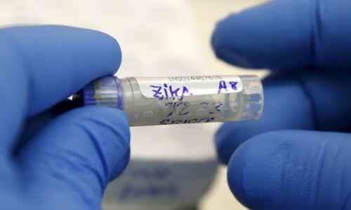 Pemerintah Masih Rahasiakan WNI yang Terinfeksi Virus Zika di Singapura