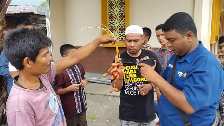 Pohon Kurma di Masjid Agung Tapaktuan Berbuah Tanpa Biji