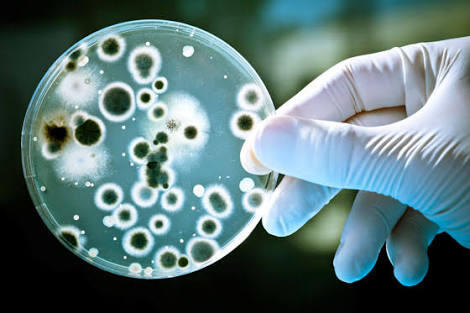 10 Hal Tentang Antibiotika