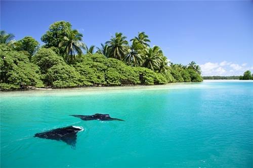 Betapa Menakjubkannya Papahānaumokuākea National Marine Monument