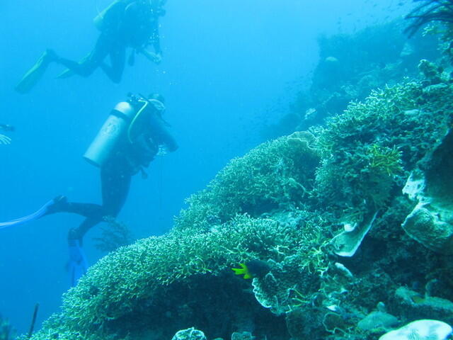 Betapa Menakjubkannya Papahānaumokuākea National Marine Monument
