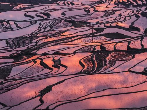Teras Sawah Ternyata Juga Bisa Jadi Destinasi Wisata Populer di Cina