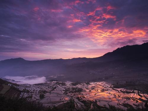 Teras Sawah Ternyata Juga Bisa Jadi Destinasi Wisata Populer di Cina