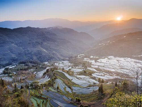 Teras Sawah Ternyata Juga Bisa Jadi Destinasi Wisata Populer di Cina