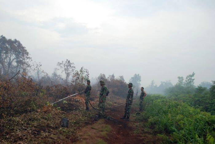 Pembakar hutan dan lahan yang merendahkan wibawa negara