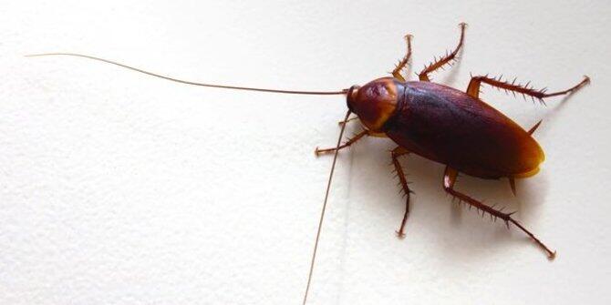 7 Fakta mencengangkan yang ditemukan dari penelitian, wajib tahu!