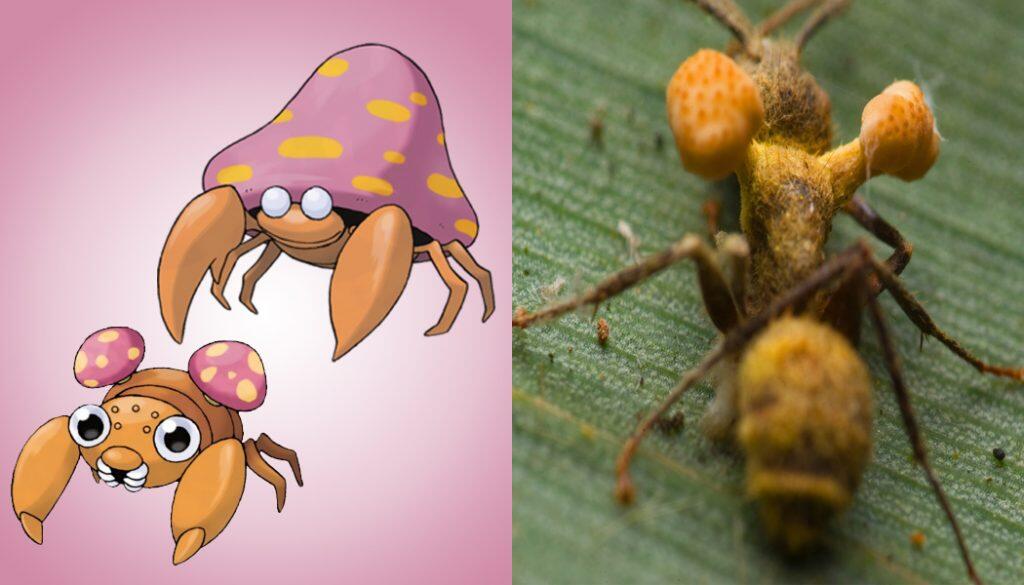 10 INSPIRASI MENARIK DUNIA NYATA DIBALIK KARAKTER POKEMON