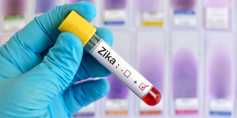 Zika Datang ke Indonesia