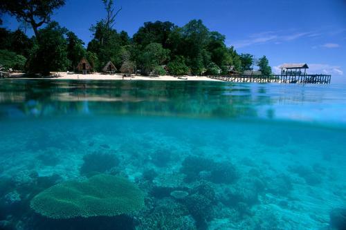 Menengok Keindahan Surga yang Hilang, Pulau Sipadan