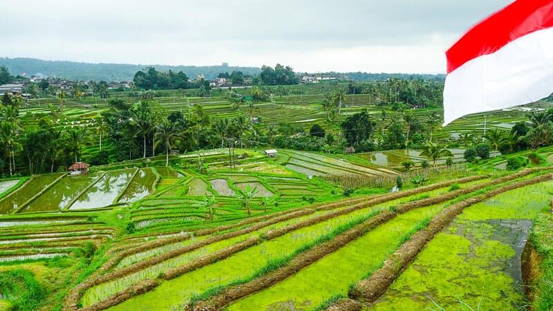 Jatiluwih, Mahakarya Indonesia yang Diwariskan Untuk Dunia