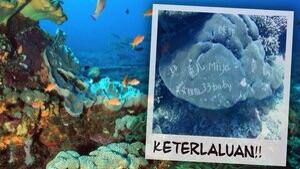 Karang di Bali Dirusak, Pemkab Minta Dive Guide Jaga Kelakuan Turis