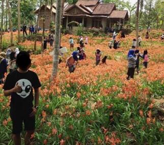 5 Hal yang Dulu Biasa Aja Tapi Sekarang Dianggap Jadi Kekinian