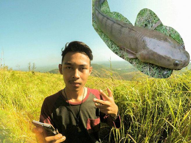 15 Editan koplak ikuti tren Up &amp; Up ini bikin ngakak