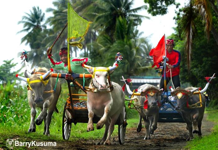 Festival Lovina Memperkenalkan Keindahan Bali Utara.