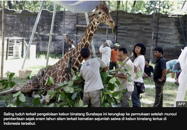 Pengkritik kinerja Kebun binatang Surabaya itu diadili