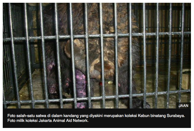 Pengkritik kinerja Kebun binatang Surabaya itu diadili