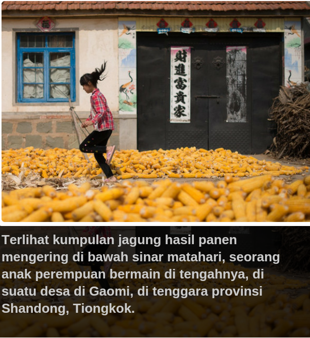 Tiongkok dan Bahan Makanan pokoknya