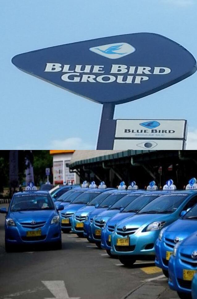 Tata cara pendaftaran driver blue bird terbaru 2016 KASKUS