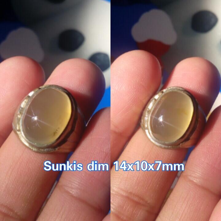 Lelang part 8 close jumat 16 sept 16