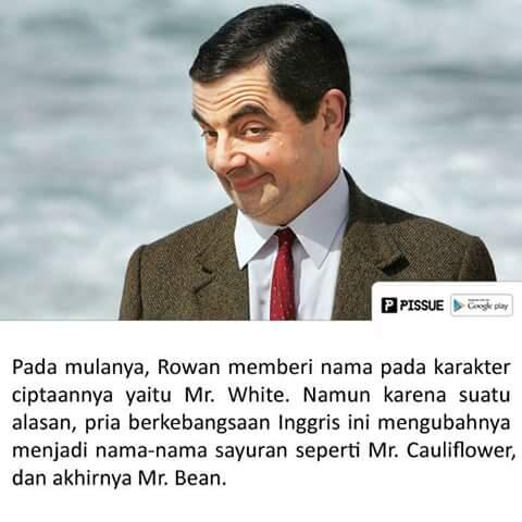 Fakta Yang Belum Diketahui Dari Serial Mr.Bean