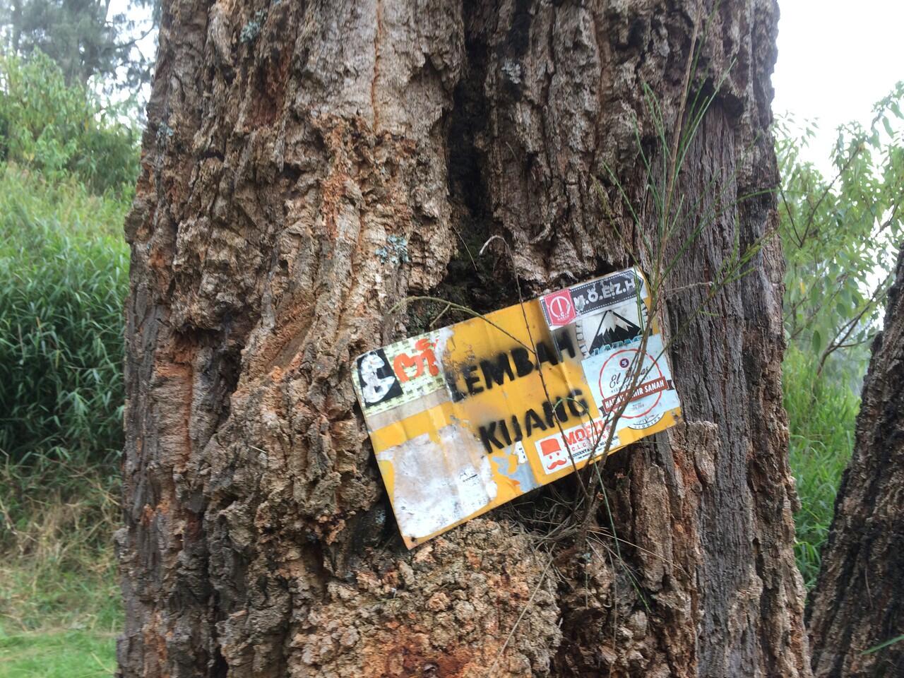 &#91;CATPER&#93; Menapaki Puncak Ogal-Agil, Gunung Arjuno 3339 mdpl via Tretes