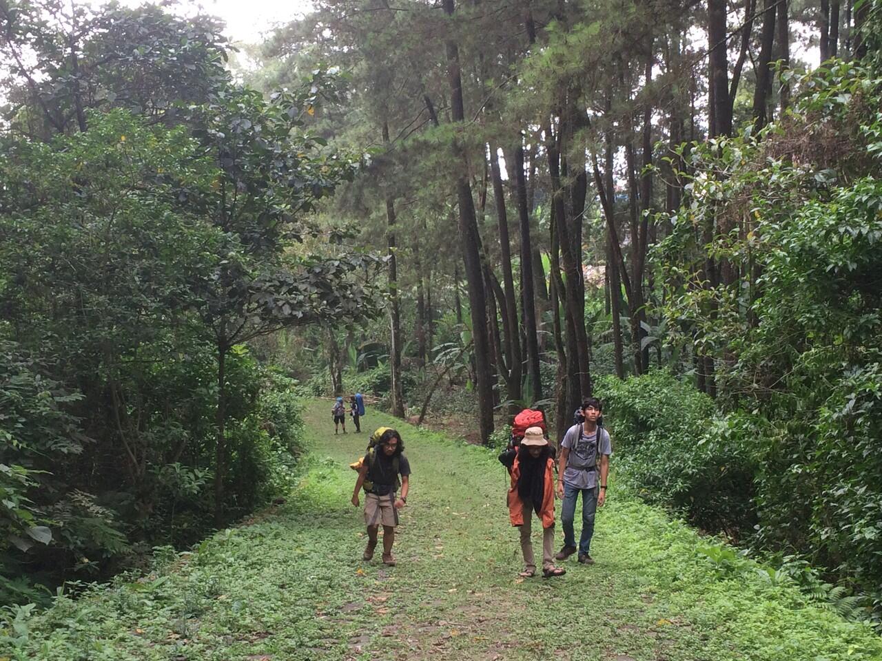 &#91;CATPER&#93; Menapaki Puncak Ogal-Agil, Gunung Arjuno 3339 mdpl via Tretes