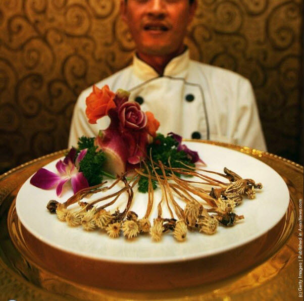 Ini 5 Restoran Paling Aneh yang ada di Beijing Cina