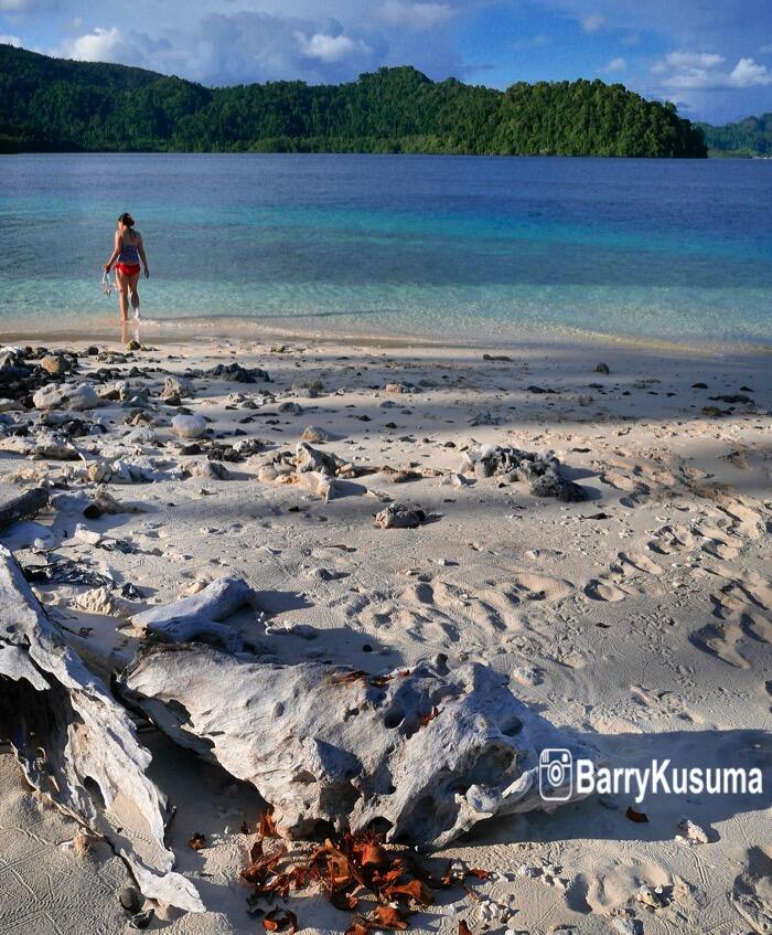 Jangan Mati Dulu Sebelum ke Raja Ampat.