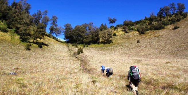 Kronologis Pendaki Meninggal di Mahameru, Semoga Jadi Duka Terakhir di Gunung, Ya!