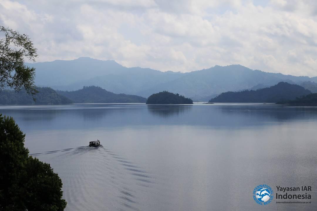 Ternyata Bendungan Batutegi Di Lampung Ada Tempat Konservasinya Gan