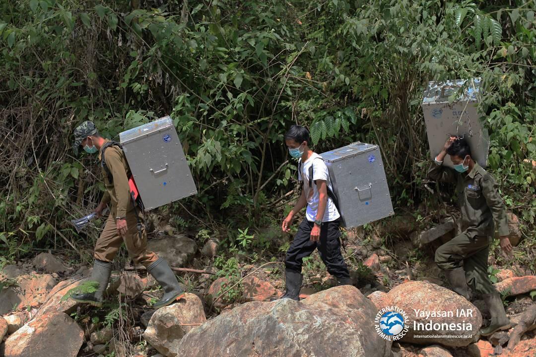 Ternyata Bendungan Batutegi Di Lampung Ada Tempat Konservasinya Gan