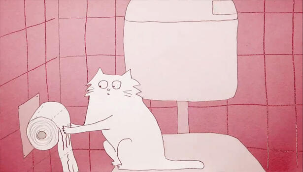Kenapa kucing bertingkah aneh ( Menggemaskan )? *Explanation with Animation
