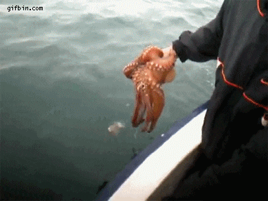 10 Animasi dan Gambar Menakutkan Dari Mahluk Bawah Laut
