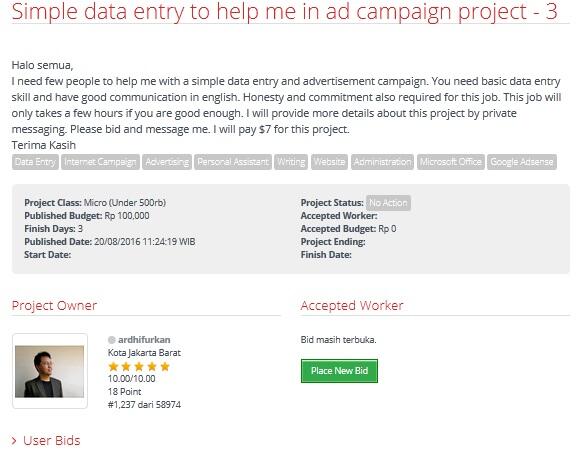 &#91;LOWONGAN FREELANCER&#93; Simple data entry to help me in ad campaign project - 3