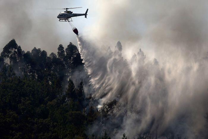 Kebakaran hutan dan lahan Indonesia renggut lebih dari 100 ribu nyawa