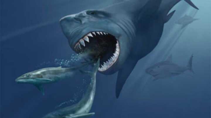 10 Monster Laut Pra-Sejarah Paling Menakutkan