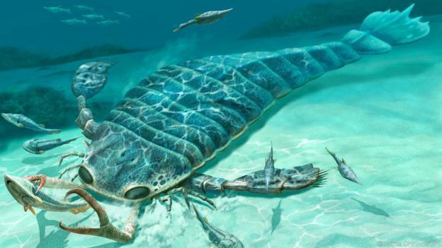 10 Monster Laut Pra-Sejarah Paling Menakutkan