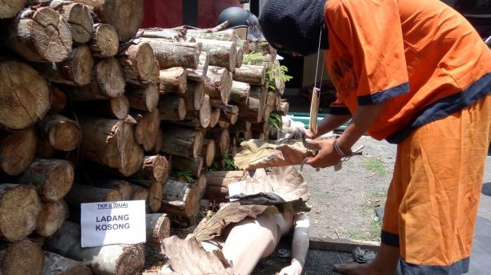 Faizal Rudapaksa Mahasiswi Cantik Ini saat Sakaratul Maut, Ternyata Motifnya. . .