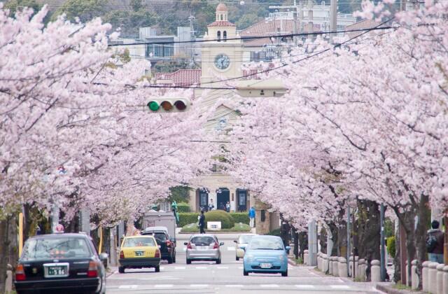 4 Keunikan Universitas di Jepang yang Berbeda dari Universitas di Indonesia Gan!