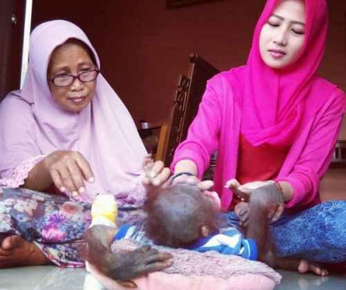 Kisah Gadis Cantik dengan Orangutan yang Dianggap Seperti Adik Sendiri