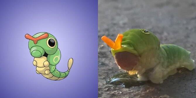 13 Pokemon ini ternyata benar-benar ada di dunia nyata!