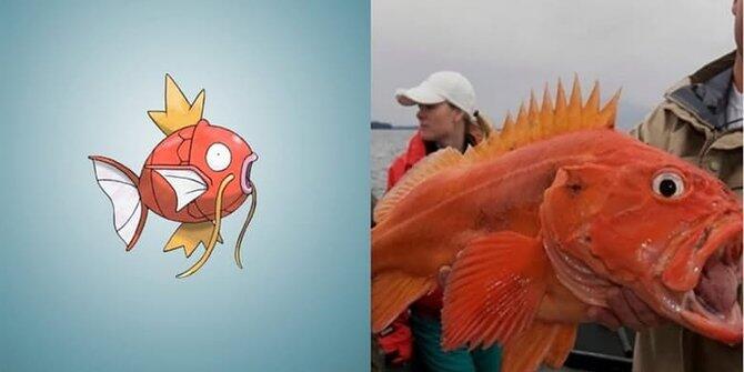 13 Pokemon ini ternyata benar-benar ada di dunia nyata!