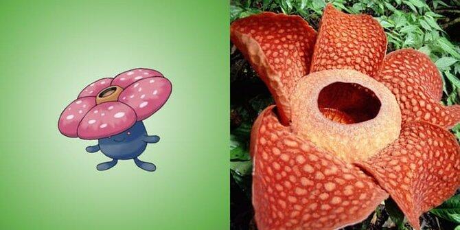 13 Pokemon ini ternyata benar-benar ada di dunia nyata!