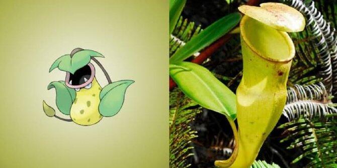 13 Pokemon ini ternyata benar-benar ada di dunia nyata!