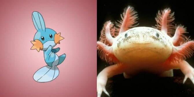 13 Pokemon ini ternyata benar-benar ada di dunia nyata!